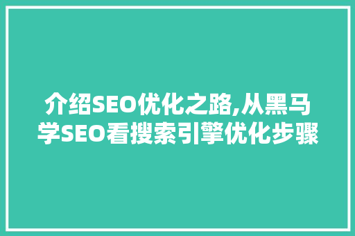 介绍SEO优化之路,从黑马学SEO看搜索引擎优化步骤