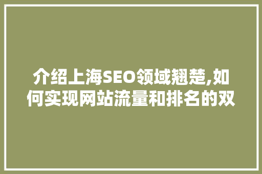介绍上海SEO领域翘楚,如何实现网站流量和排名的双重提升