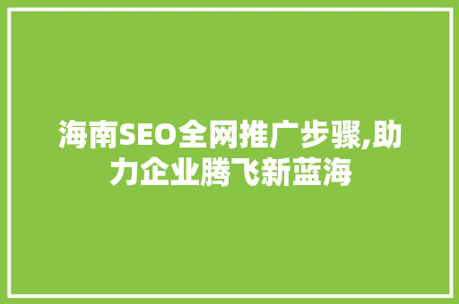 海南SEO全网推广步骤,助力企业腾飞新蓝海