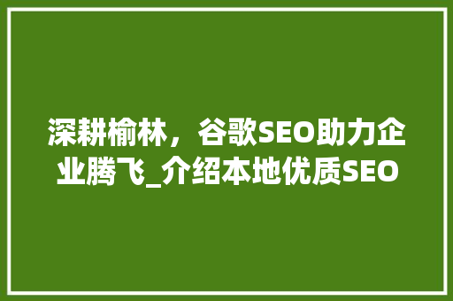 深耕榆林，谷歌SEO助力企业腾飞_介绍本地优质SEO服务公司