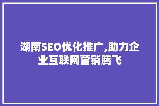 湖南SEO优化推广,助力企业互联网营销腾飞