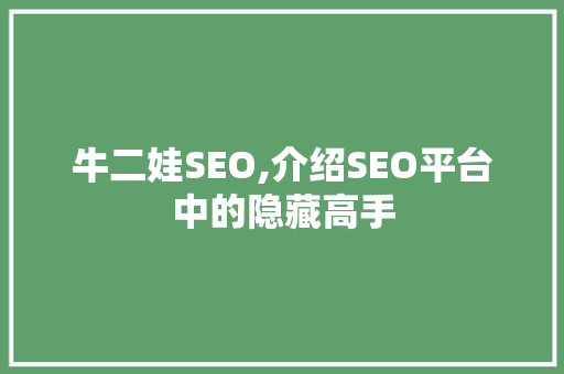 牛二娃SEO,介绍SEO平台中的隐藏高手