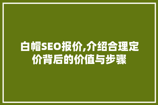 白帽SEO报价,介绍合理定价背后的价值与步骤