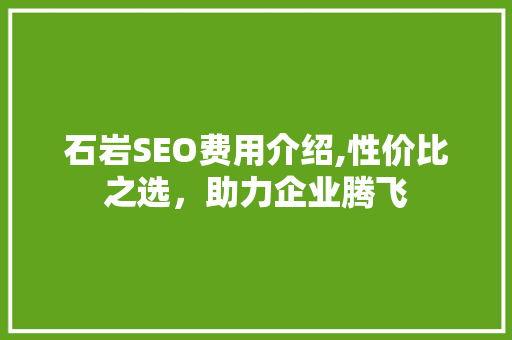 石岩SEO费用介绍,性价比之选，助力企业腾飞