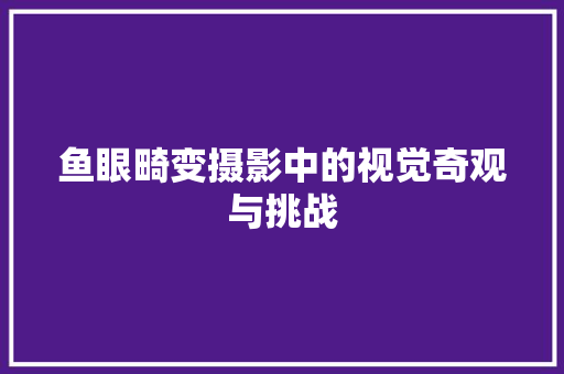 鱼眼畸变摄影中的视觉奇观与挑战