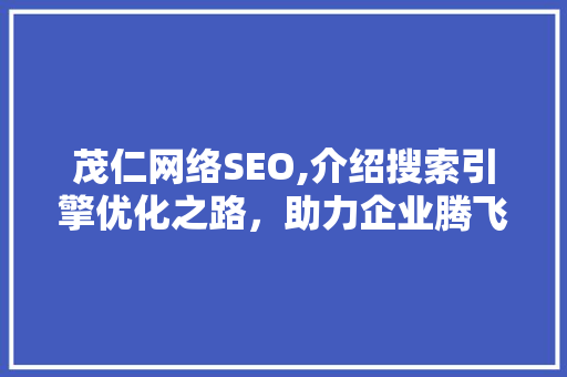 茂仁网络SEO,介绍搜索引擎优化之路，助力企业腾飞