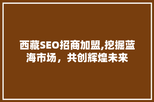 西藏SEO招商加盟,挖掘蓝海市场，共创辉煌未来
