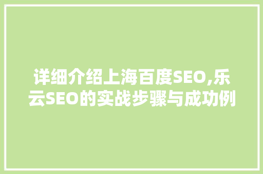 详细介绍上海百度SEO,乐云SEO的实战步骤与成功例子分享