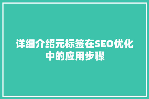 详细介绍元标签在SEO优化中的应用步骤