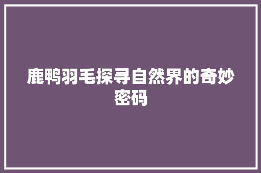 鹿鸭羽毛探寻自然界的奇妙密码
