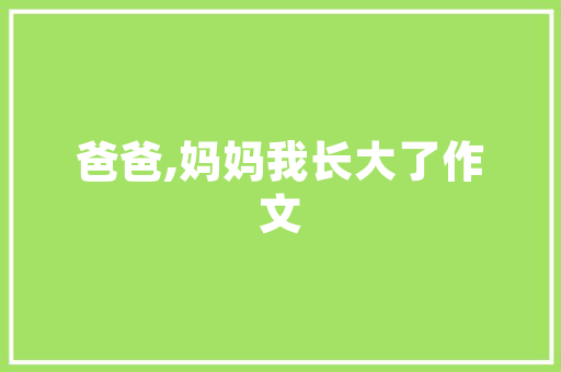 谷歌SEO标题工具详细介绍,优化步骤与实战方法  第1张