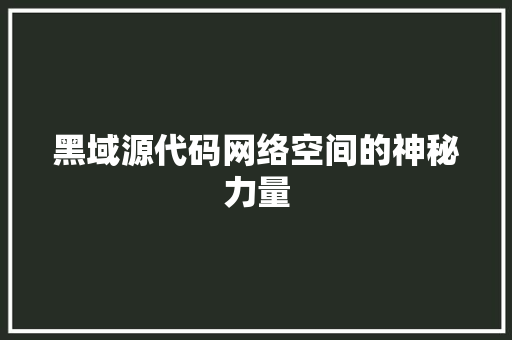 黑域源代码网络空间的神秘力量