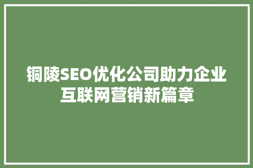 铜陵SEO优化公司助力企业互联网营销新篇章