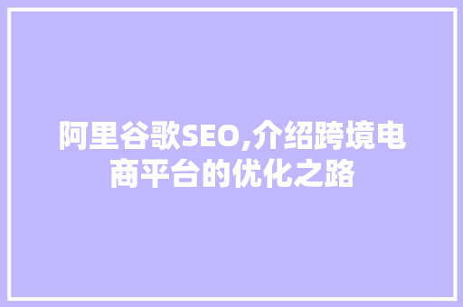 阿里谷歌SEO,介绍跨境电商平台的优化之路