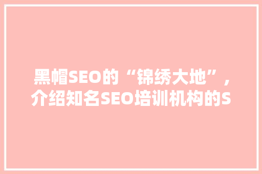 黑帽SEO的“锦绣大地”,介绍知名SEO培训机构的SEO步骤