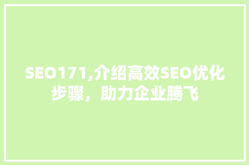 SEO171,介绍高效SEO优化步骤，助力企业腾飞