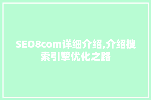 SEO8com详细介绍,介绍搜索引擎优化之路