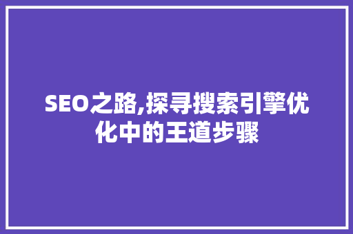 SEO之路,探寻搜索引擎优化中的王道步骤
