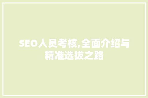 SEO人员考核,全面介绍与精准选拔之路