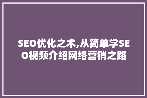 SEO优化之术,从简单学SEO视频介绍网络营销之路