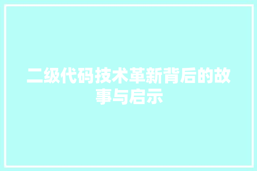 二级代码技术革新背后的故事与启示