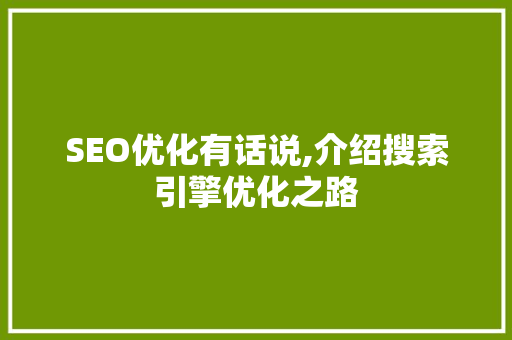 SEO优化有话说,介绍搜索引擎优化之路