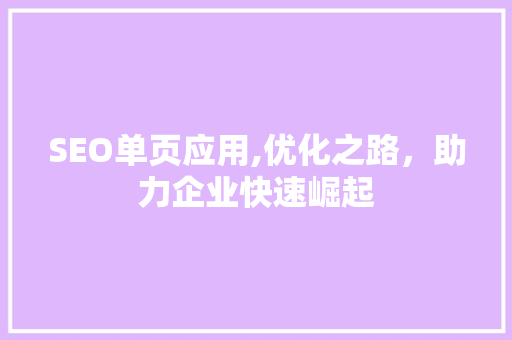 SEO单页应用,优化之路，助力企业快速崛起