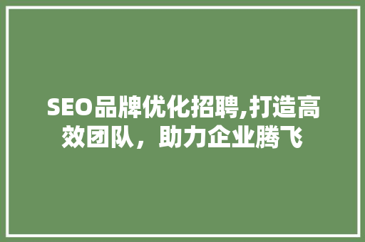 SEO品牌优化招聘,打造高效团队，助力企业腾飞