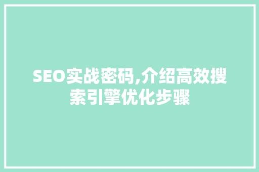 SEO实战密码,介绍高效搜索引擎优化步骤