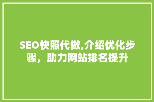 SEO快照代做,介绍优化步骤，助力网站排名提升