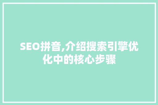 SEO拼音,介绍搜索引擎优化中的核心步骤