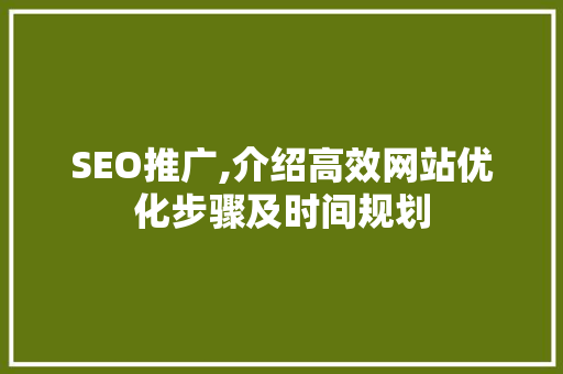 SEO推广,介绍高效网站优化步骤及时间规划