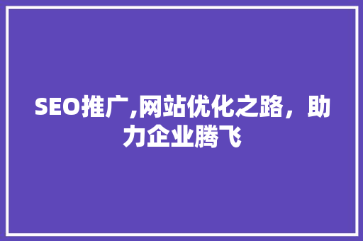 SEO推广,网站优化之路，助力企业腾飞