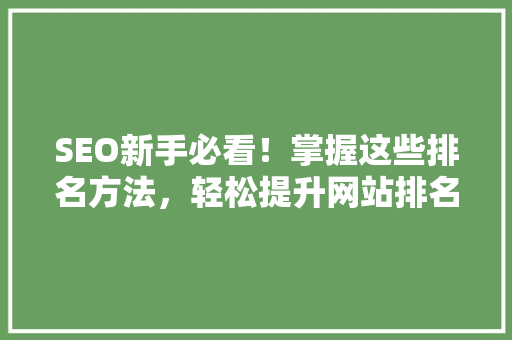 SEO新手必看！掌握这些排名方法，轻松提升网站排名