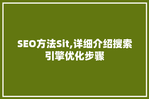 SEO方法Sit,详细介绍搜索引擎优化步骤