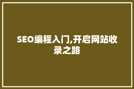 SEO编程入门,开启网站收录之路