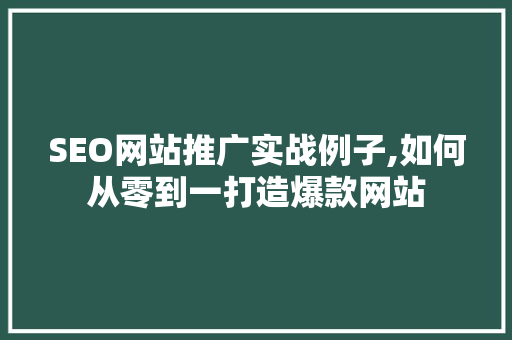 SEO网站推广实战例子,如何从零到一打造爆款网站