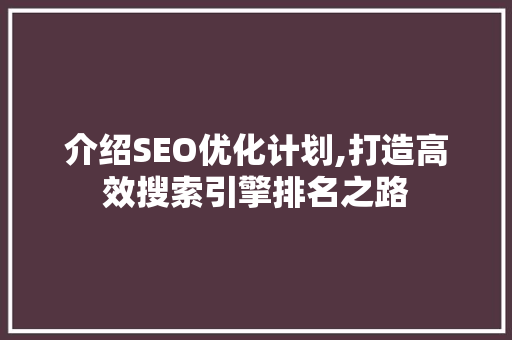 介绍SEO优化计划,打造高效搜索引擎排名之路
