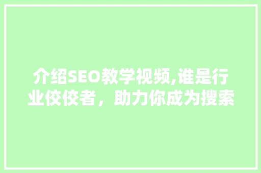 介绍SEO教学视频,谁是行业佼佼者，助力你成为搜索引擎优化高手