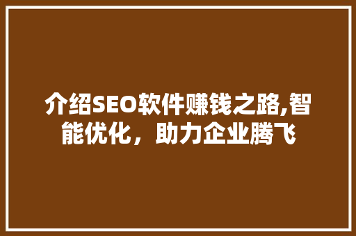 介绍SEO软件赚钱之路,智能优化，助力企业腾飞