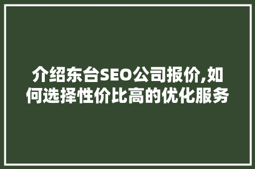 介绍东台SEO公司报价,如何选择性价比高的优化服务  第1张
