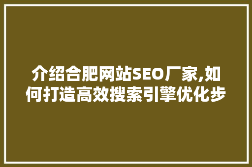 介绍合肥网站SEO厂家,如何打造高效搜索引擎优化步骤