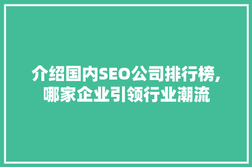 介绍国内SEO公司排行榜,哪家企业引领行业潮流