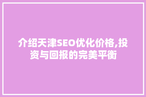 介绍天津SEO优化价格,投资与回报的完美平衡