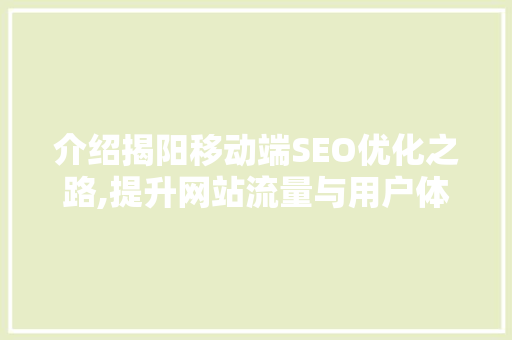 介绍揭阳移动端SEO优化之路,提升网站流量与用户体验