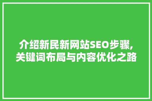 介绍新民新网站SEO步骤,关键词布局与内容优化之路