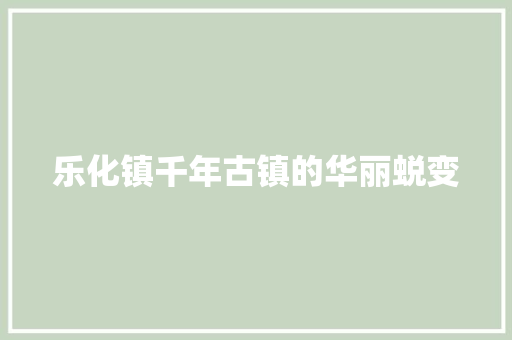 乐化镇千年古镇的华丽蜕变