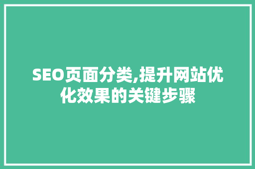 SEO页面分类,提升网站优化效果的关键步骤