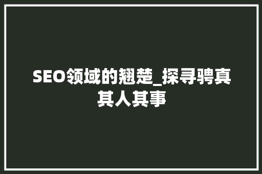 SEO领域的翘楚_探寻骋真其人其事