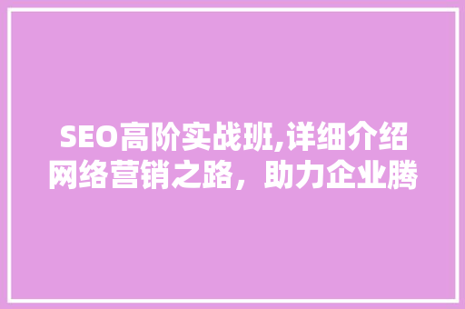 SEO高阶实战班,详细介绍网络营销之路，助力企业腾飞